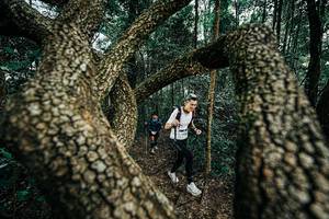 BIB: 
                            <button type="button" onclick="openModal(25394169)" class="btn btn-primary btn-sm float-right btn-popup" data-toggle="modal" data-target=".modal-high-quality">
                        <i class="fas fa-shopping-cart"></i> Add to Cart
                    </button>
                                            <button type="button" onclick="isThisMe(25394169, true)" class="btn btn-success btn-sm float-right btn-popup btn-isme hidden" data-toggle="tooltip" data-placement="bottom" title="นี่คือรูปของคุณใช่ไหม คลิกที่นี่เพื่อเอาเข้าอัลบั้ม">
                        <i class="fas fa-plus"></i> Add to album
                    </button>
                    <button type="button" onclick="isThisMe(25394169, false)" class="btn btn-warning btn-sm float-right btn-popup btn-isnotme hidden">
                        <i class="fas fa-ban"></i> Remove from album
                    </button>